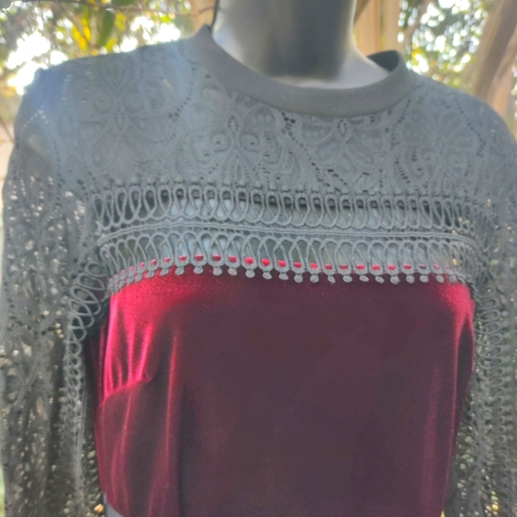 Gorgeous Gothic Holiday Velvet and Lace Dress - Picture 3 of 6